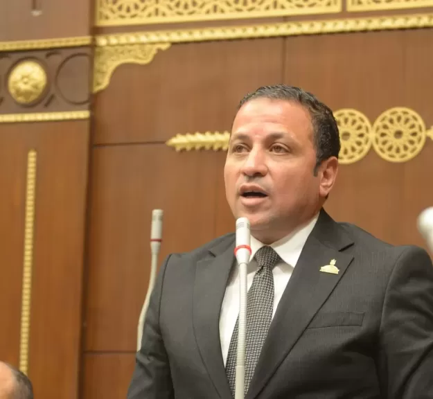 النائب عادل السكري عضو مجلس الشيوخ