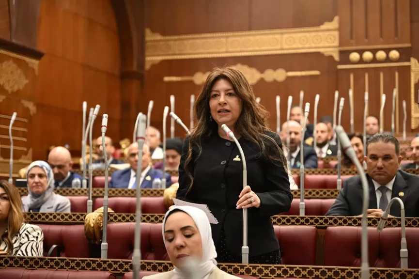 النائبة سوزي سمير: رؤية الرئيس السيسي في تنزانيا تعزز الربط التجاري واللوجستي بين مصر وشرق أفريقيا