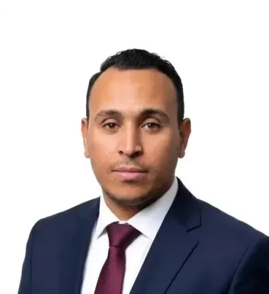 المهندس كريم سالم، خبير التنمية المحلية