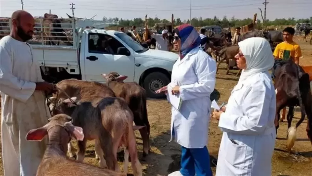 الثروة الحيوانية