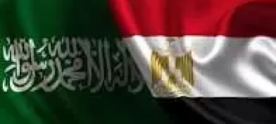 مصر والسعودية تؤكدان على ضرورة وقف الأعمال العسكرية وحماية الملاحة الدولية