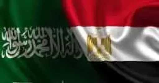 مصر والسعودية تؤكدان على ضرورة وقف الأعمال العسكرية وحماية الملاحة الدولية