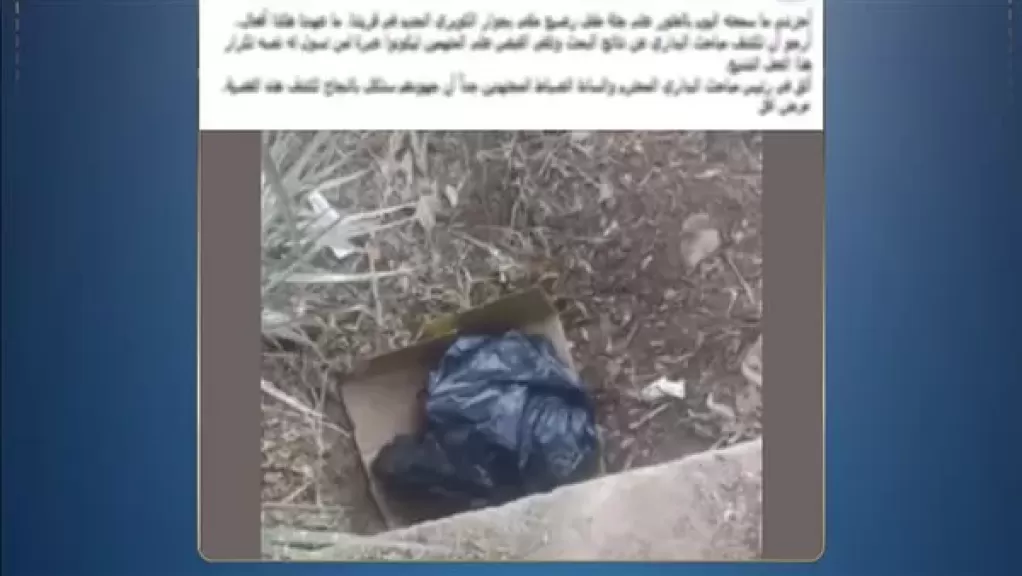 الواقعة