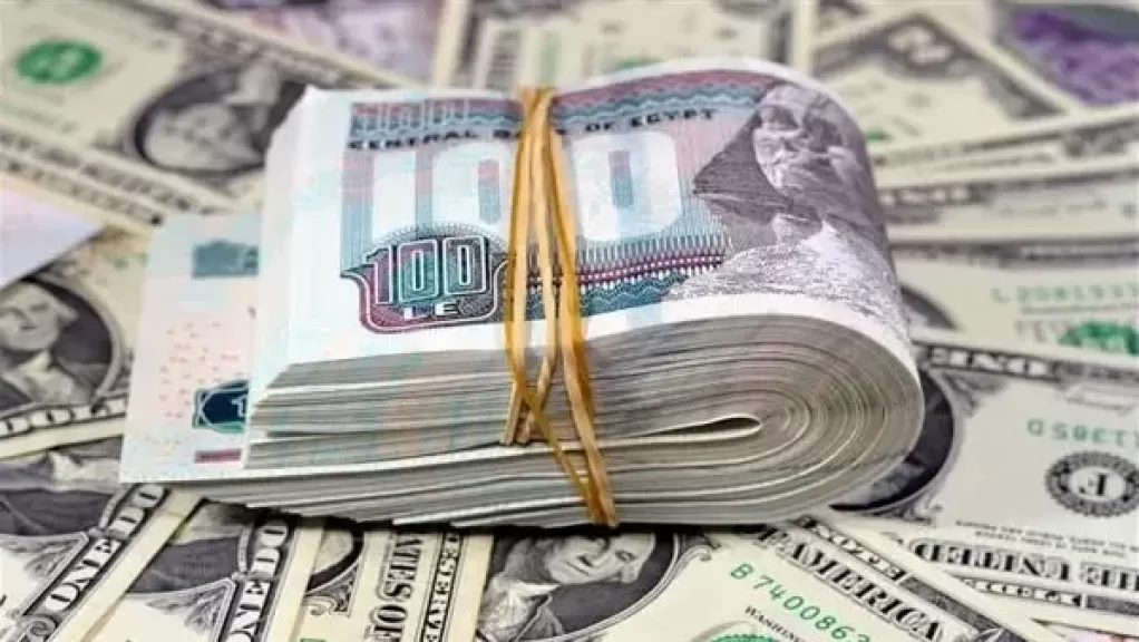 سعر الدولار اليوم
