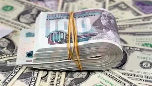سعر الدولار اليوم الأربعاء 29-7-2026.. استقرار العملة الأمريكية في جميع البنوك