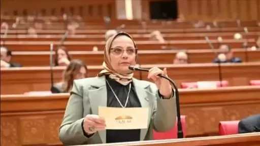 نجلاء العسيلي: نجاح اتفاق غزة لوقف الحرب انتصار جديد للدبلوماسية المصرية بقيادة الرئيس السيسي