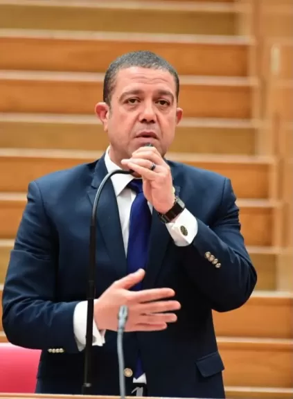 النائب سمير الخولي، عضو مجلس النواب
