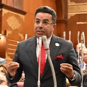 النائب باسل عادل: إزالة الأشجار في القاهرة قضية حياة وحق اصيل للمواطن