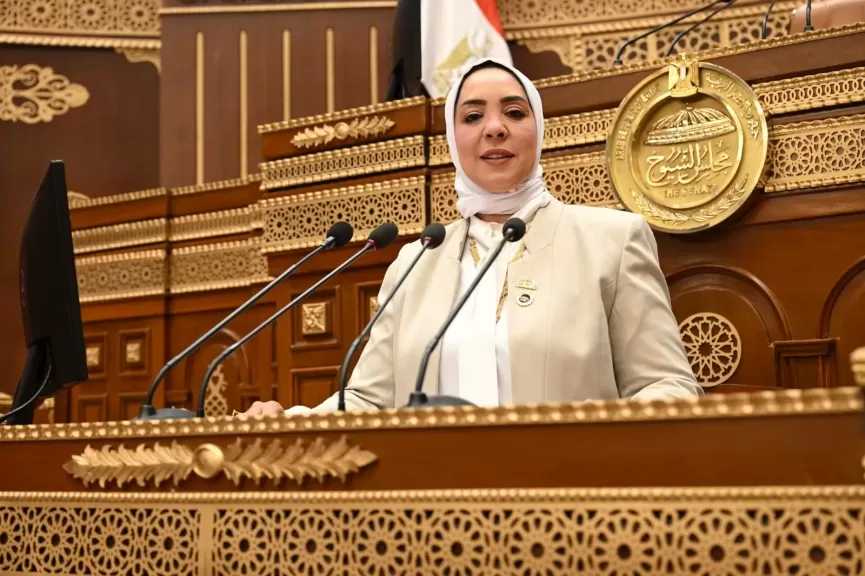 ”القاهرة لا تُدار بالوصاية”.. برلمانية: زيارة الرئيس الصيني رسالة ثقة في مصر