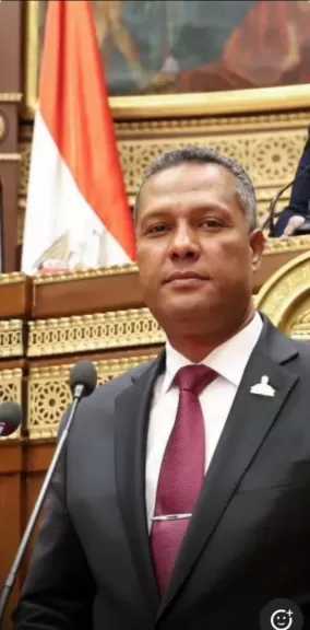 محمد حمزة: زيارة الرئيس الصيني لمصر تفتح آفاقًا جديدة لشراكة استراتيجية تدعم الاقتصاد والتنمية