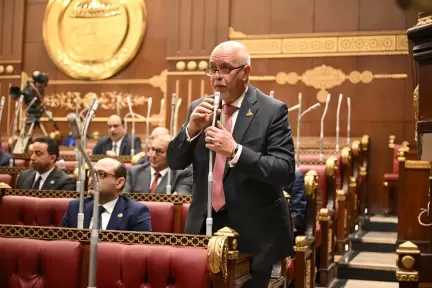 الجندي: التوافق المصري الصيني حول أمن البحر الأحمر يدعم حق الدول النامية في صنع القرار الدولي