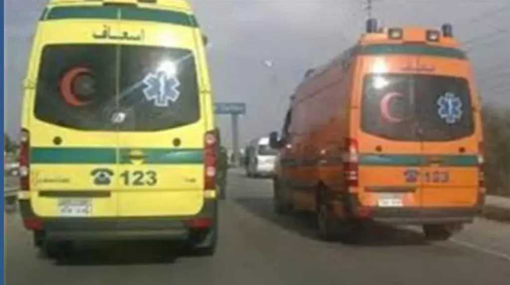 إصابة 6 أشخاص بينهم 4 أطفال من أسرة واحدة في حادث تصادم بالبحيرة