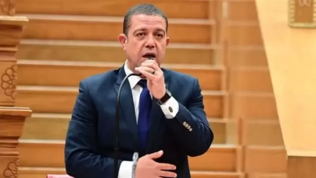 النائب سمير الخولي، أمين سر لجنة  الصحة بمجلس النواب