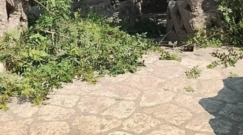 حديقة الأسماك بالزمالك