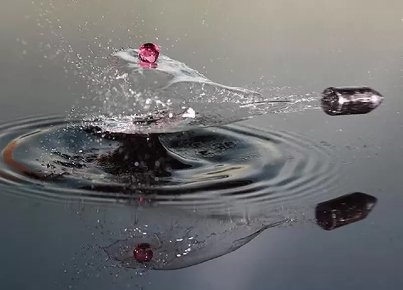 لم تقتلني الرصاصة
