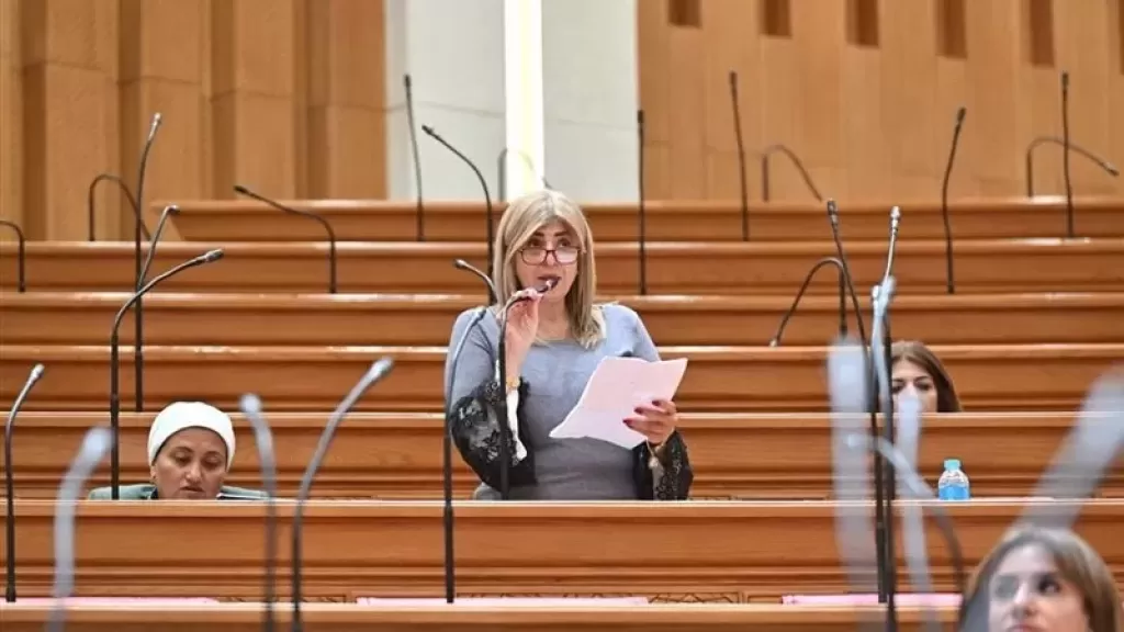 النائبة أميرة فؤاد، عضو مجلس النواب 