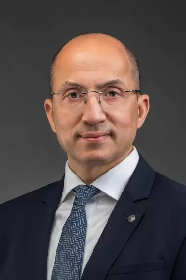 الأستاذ الدكتور حاتم جلال سعيد
