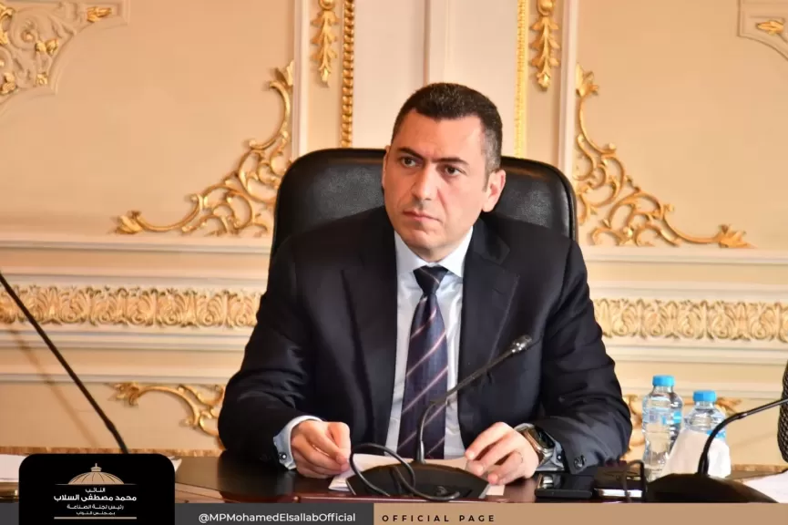 محمد مصطفى السلاب، أمين أمانة الصناعة المركزية بحزب مستقبل وطن