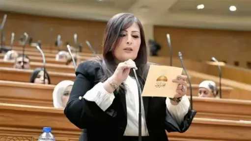 إليزابيث شاكر: رسائل الرئيس السيسي بشأن الدستور تؤكد ثوابت الدولة وترسخ سيادة القانون