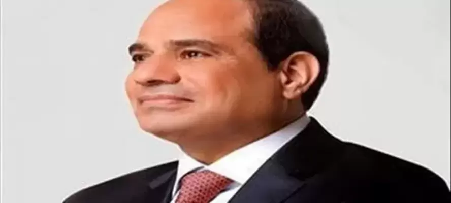السيسي: الحفاظ على مؤسسات الدولة مسؤولية مشتركة.. وأمن السعودية جزء من الأمن القومي المصري