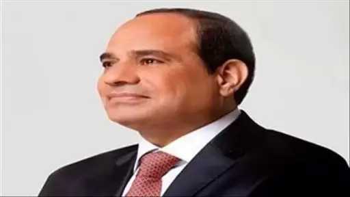 السيسي: الحفاظ على مؤسسات الدولة مسؤولية مشتركة.. وأمن السعودية جزء من الأمن القومي المصري