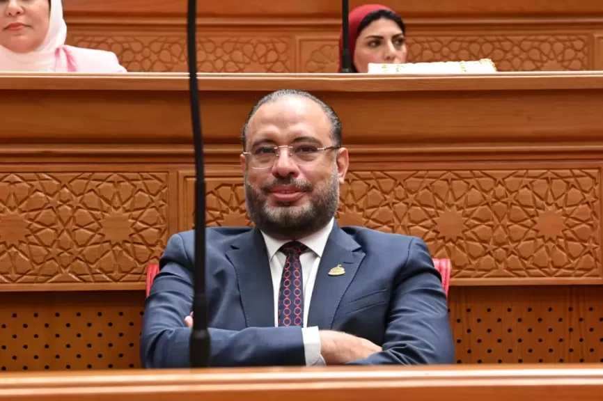 النائب الدكتور أحمد السبكي، عضو مجلس النواب