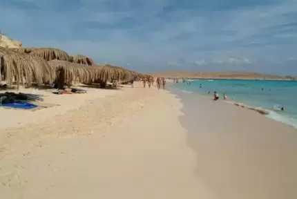 مدير محمية الجفتون: الجزيرة شهدت مغامرة سياحية بدأت عام 1997 وتحولت إلى مقصد لآلاف الزائرين