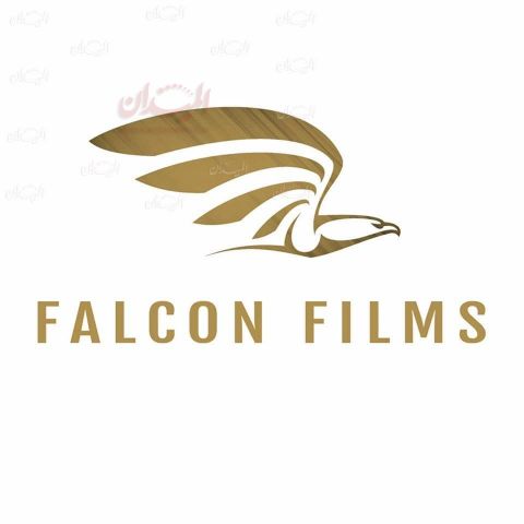 فالكون فيلمز في مصر
