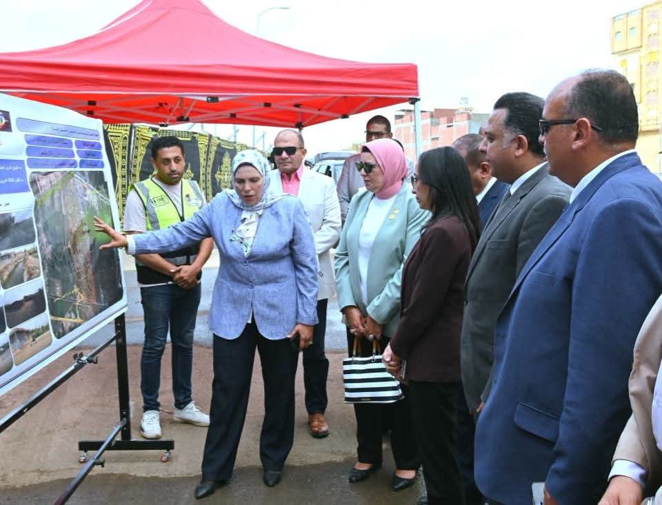 92cf62b355d6.jpg