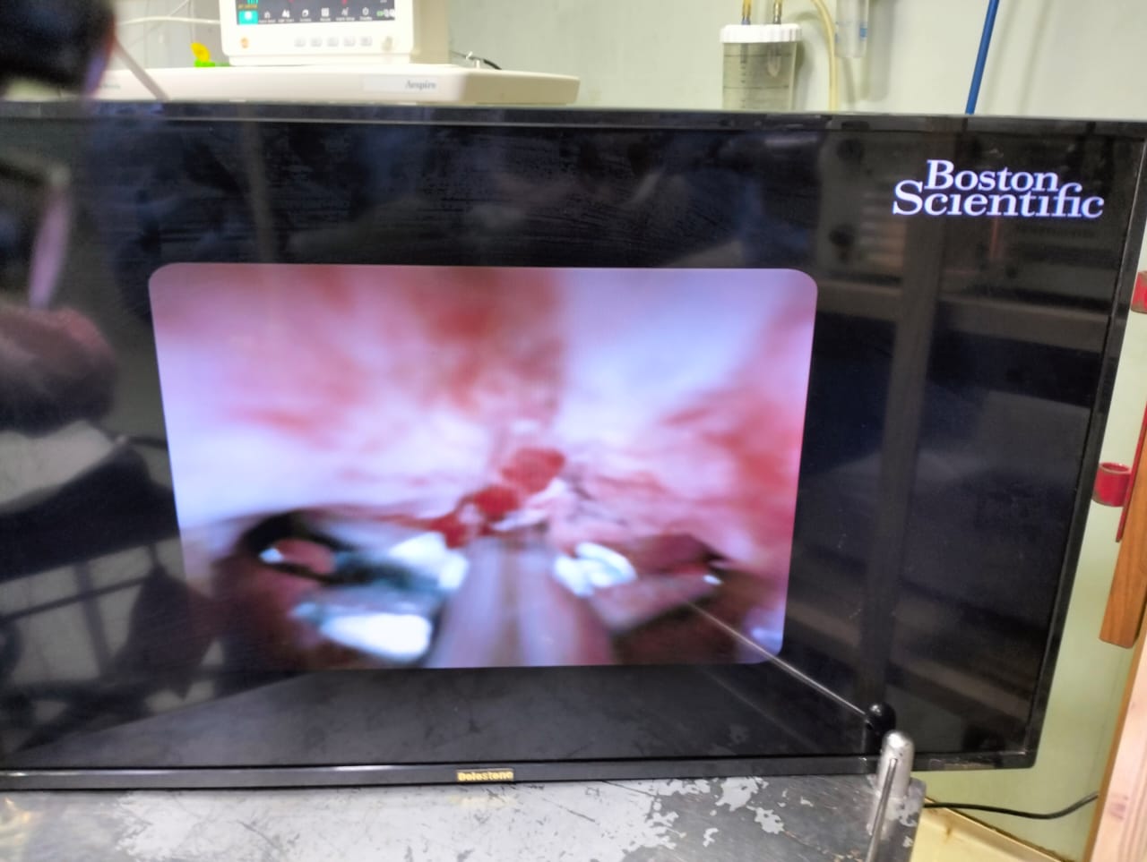 e8370cc96145.jpeg