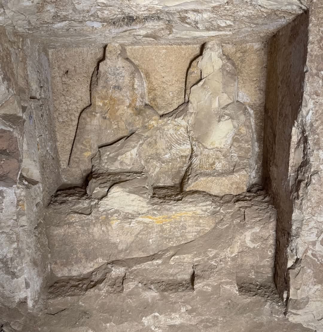 1653cfec3c17.jpg